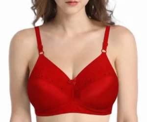 Elegant Red Lace Bra – Comfortable Support with Feminine Design
