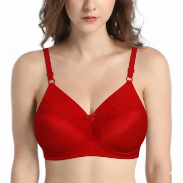 Elegant Red Lace Bra – Comfortable Support with Feminine Design
