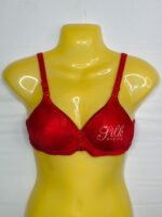 Padded Full Coverage Bra with Adjustable Straps